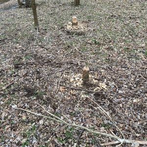 Meet your Posher, Joann